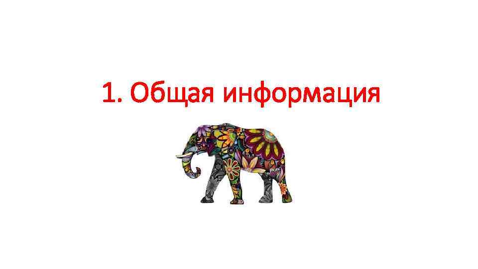 1. Общая информация 