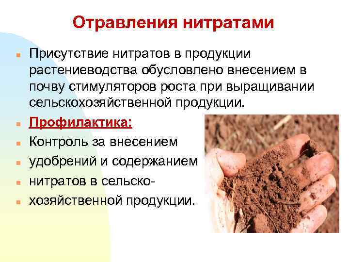 Отравления нитратами n n n Присутствие нитратов в продукции растениеводства обусловлено внесением в почву