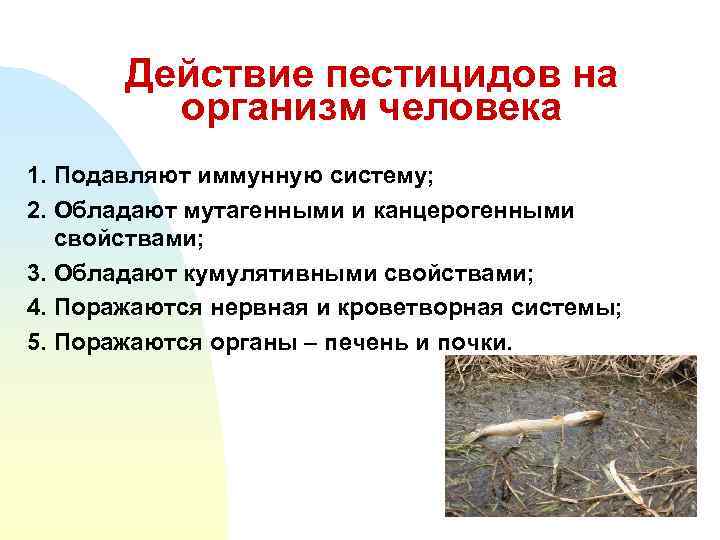Действие пестицидов на организм человека 1. Подавляют иммунную систему; 2. Обладают мутагенными и канцерогенными