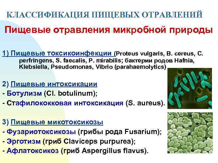 КЛАССИФИКАЦИЯ ПИЩЕВЫХ ОТРАВЛЕНИЙ Пищевые отравления микробной природы 1) Пищевые токсикоинфекции (Рroteus vulgaris, B. cereus,