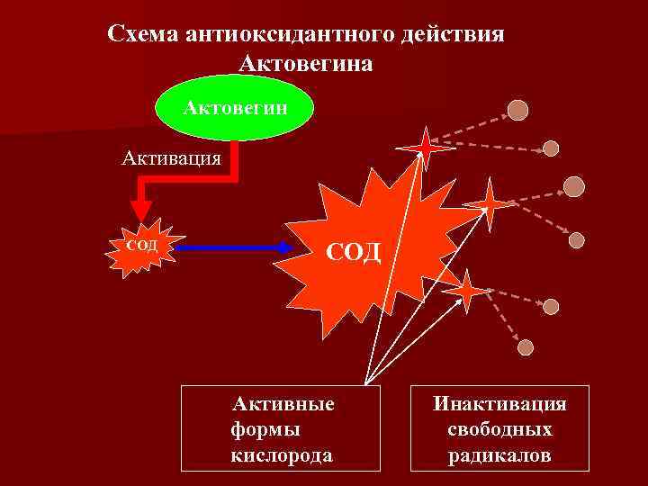 Схема антиоксидантного действия Актовегина Актовегин Активация СОД Активные формы кислорода Инактивация свободных радикалов 