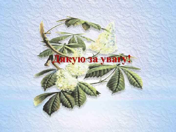 Дякую за увагу! 