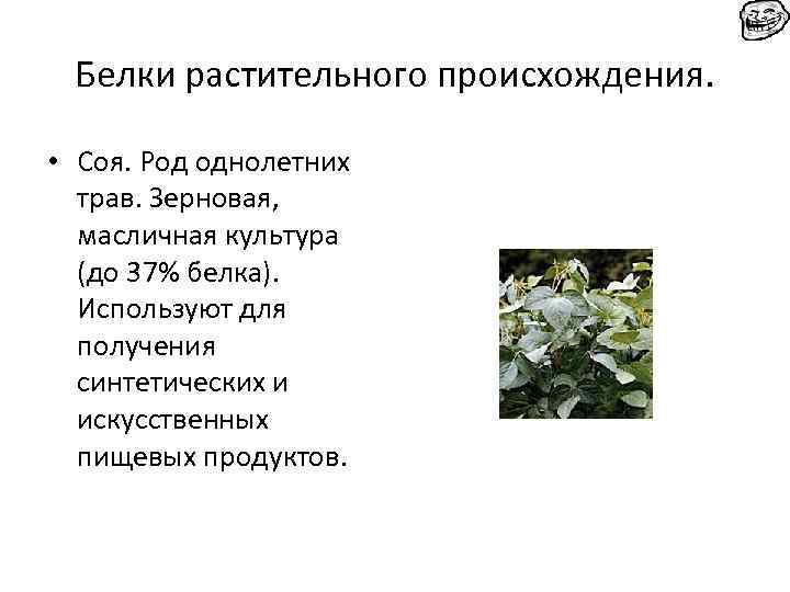 Белки растительного происхождения. • Соя. Род однолетних трав. Зерновая, масличная культура (до 37% белка).