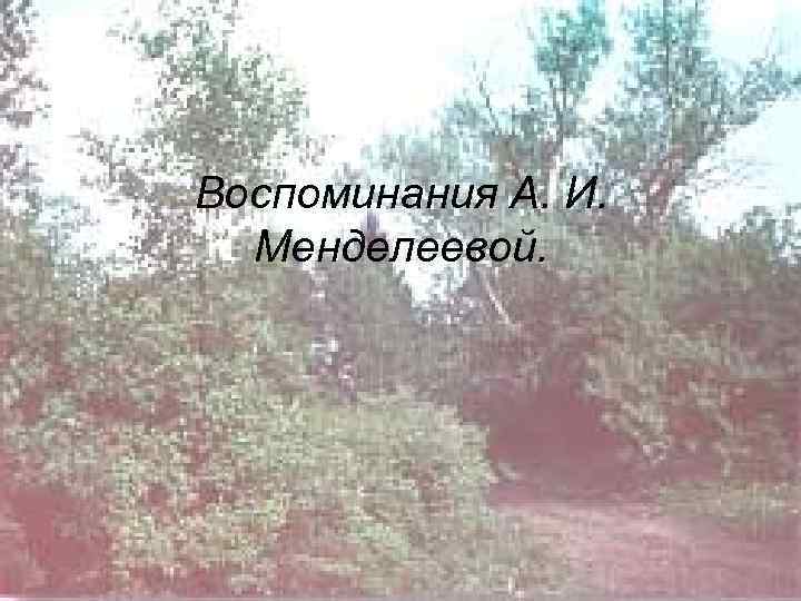 Воспоминания А. И. Менделеевой. 