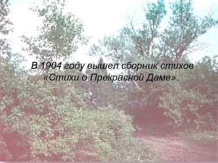В 1904 году вышел сборник стихов «Стихи о Прекрасной Даме» . 