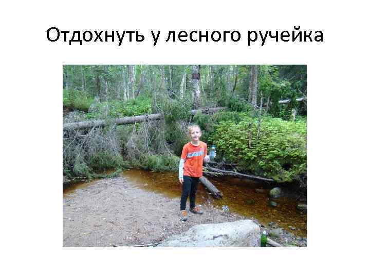 Отдохнуть у лесного ручейка 