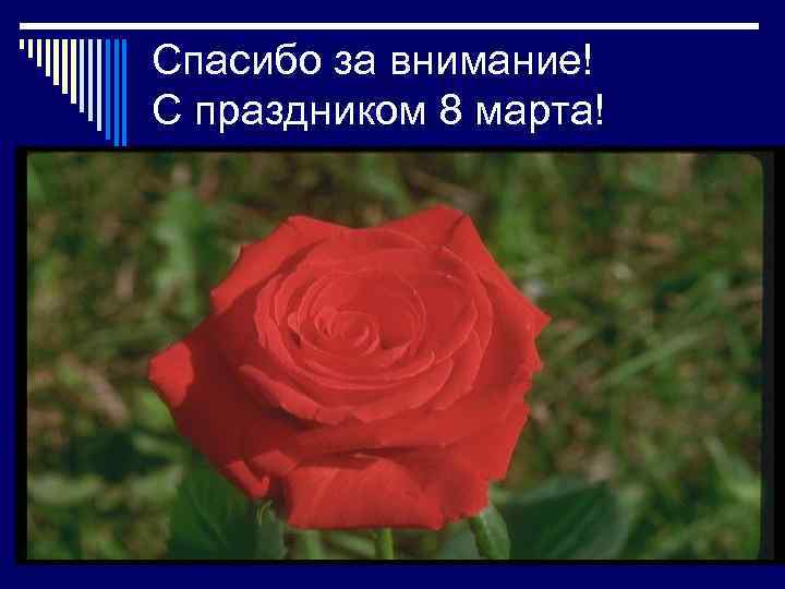 Спасибо за внимание! С праздником 8 марта! 