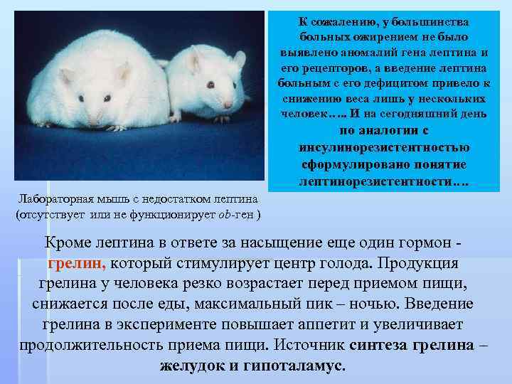 К сожалению, у большинства больных ожирением не было выявлено аномалий гена лептина и его