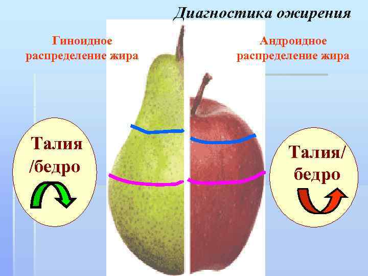 Диагностика ожирения Гиноидное распределение жира Талия /бедро Андроидное распределение жира Талия/ бедро 