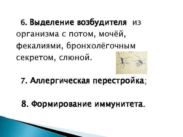 6. Выделение возбудителя из организма с потом, мочёй, фекалиями, бронхолёгочным секретом, слюной. 7. Аллергическая