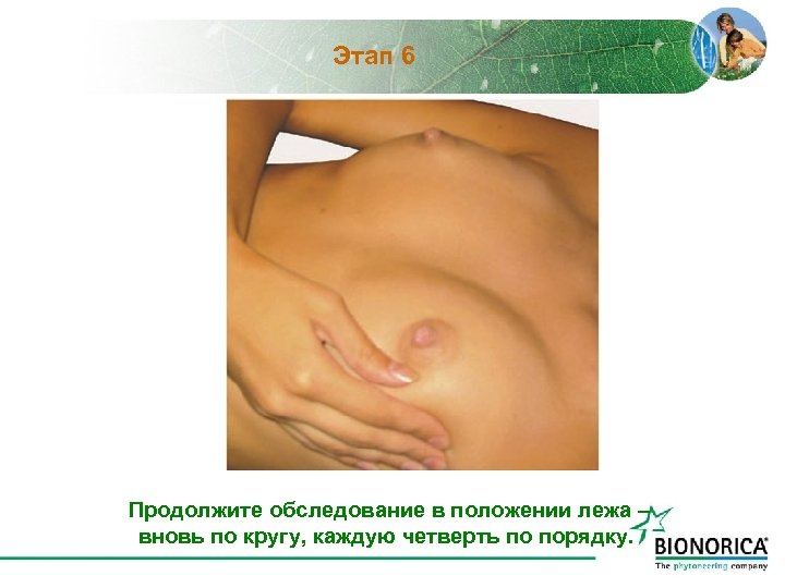 Этап 6 Продолжите обследование в положении лежа – вновь по кругу, каждую четверть по