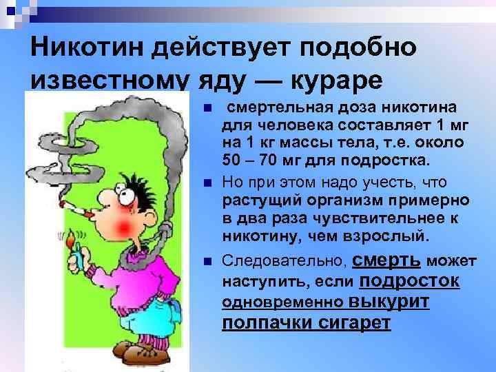 Никотин действует подобно известному яду — кураре n n n смертельная доза никотина для