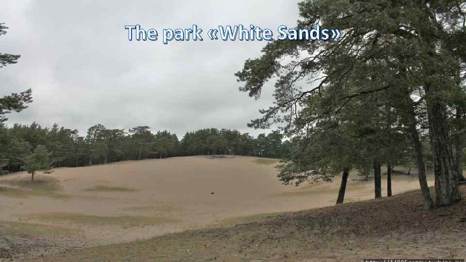 The park «White Sands» 