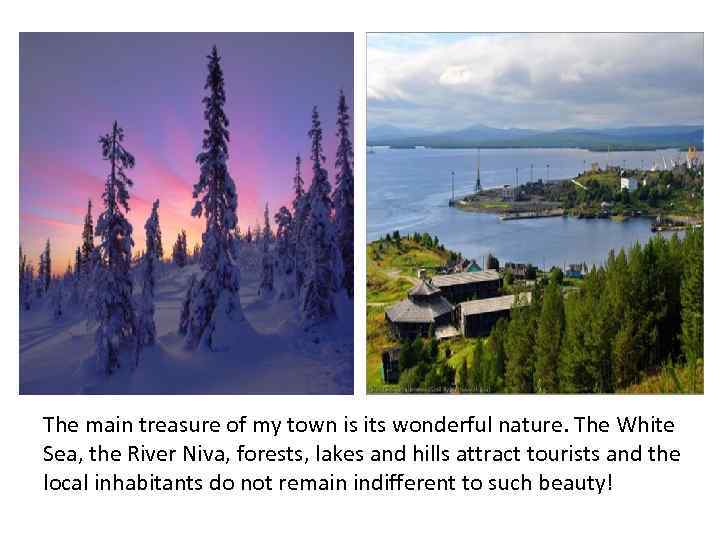 The main treasure of my town is its wonderful nature. The White Sea, the