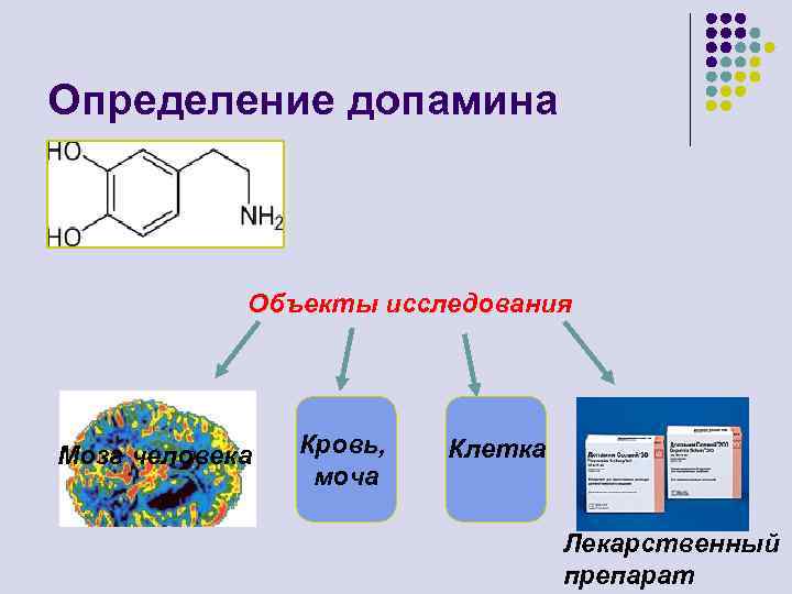 Определение допамина Объекты исследования Мозг человека Кровь, моча Клетка Лекарственный препарат 