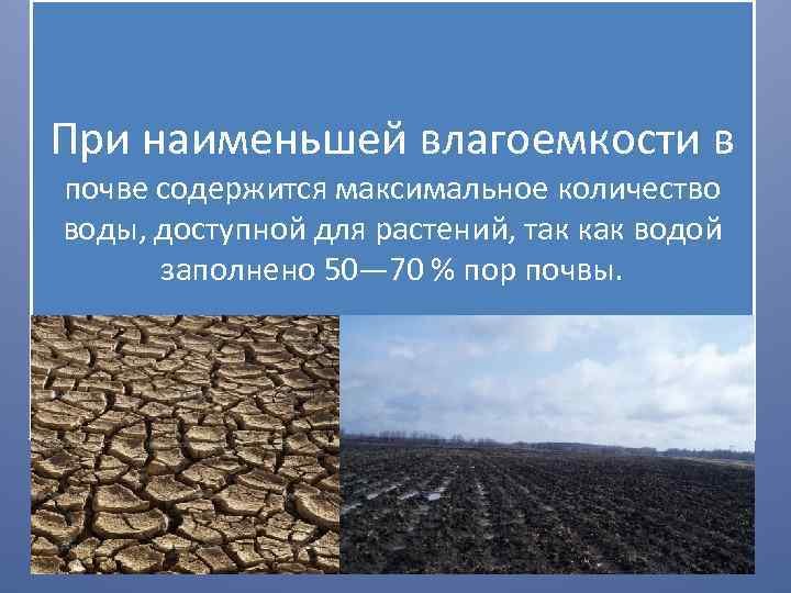 Влагоемкость почвы. Наименьшая Полевая влагоемкость. Наименьшая влагоемкость почвы. Оценка влагоемкости почв. Максимальная влагоемкость почвы.