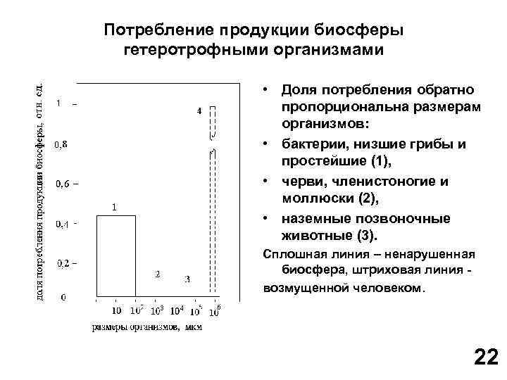Потребление продукции биосферы гетеротрофными организмами • Доля потребления обратно пропорциональна размерам организмов: • бактерии,