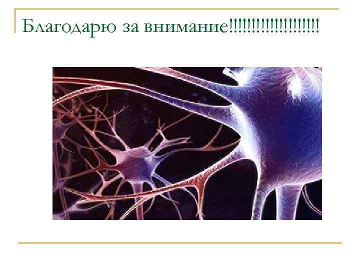 Благодарю за внимание!!!!!!!!!! 