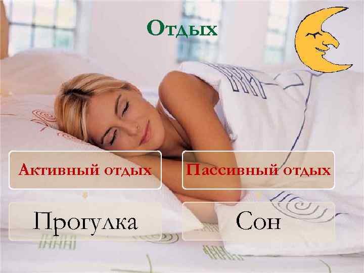 Отдых Активный отдых Пассивный отдых Прогулка Сон 