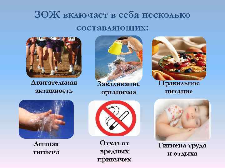ЗОЖ включает в себя несколько составляющих: Двигательная активность Личная гигиена Закаливание организма Правильное питание