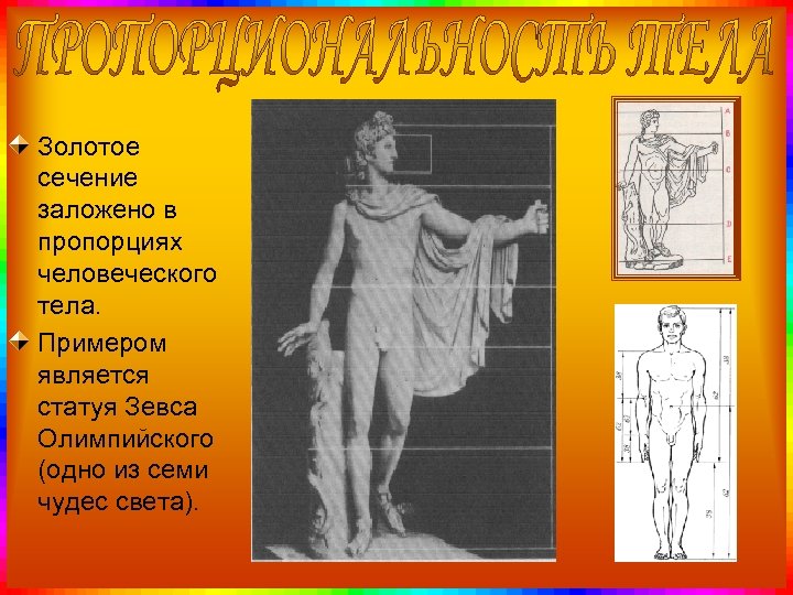 Золотое сечение заложено в пропорциях человеческого тела. Примером является статуя Зевса Олимпийского (одно из