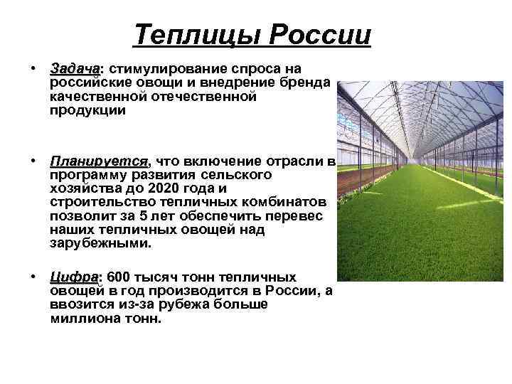 Теплицы России • Задача: стимулирование спроса на Задача российские овощи и внедрение бренда качественной