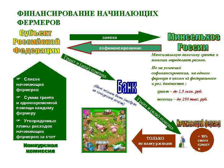 Бизнес план на получение гранта