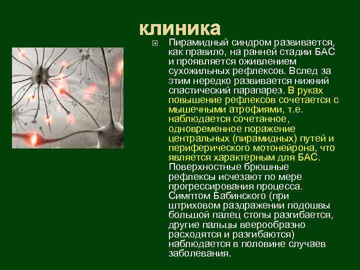 клиника Пирамидный синдром развивается, как правило, на ранней стадии БАС и проявляется оживлением сухожильных