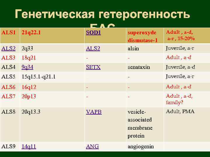 Генетическая гетерогенность БАС superoxyde Adult , a-d, ALS 1 21 q 22. 1 SOD