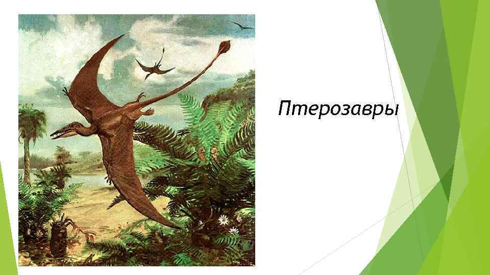 Птерозавры 