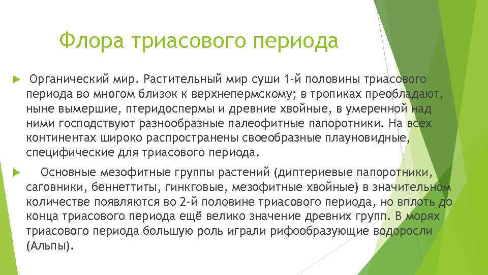 Флора триасового периода Органический мир. Растительный мир суши 1 -й половины триасового периода во