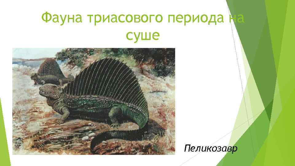 Фауна триасового периода на суше Пеликозавр 