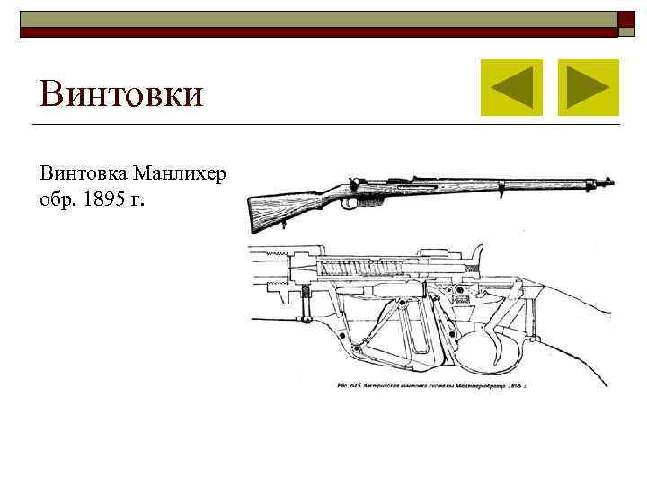 Винтовки Винтовка Манлихер обр. 1895 г. 