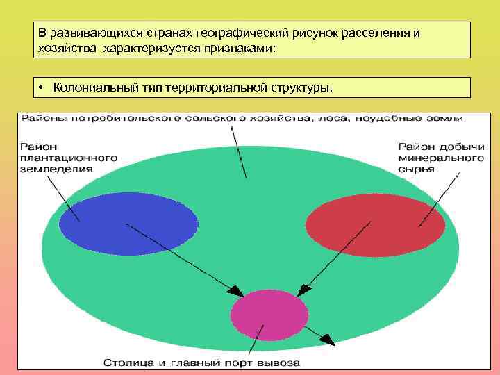 В развивающихся странах географический рисунок расселения и хозяйства характеризуется признаками: • Колониальный тип территориальной