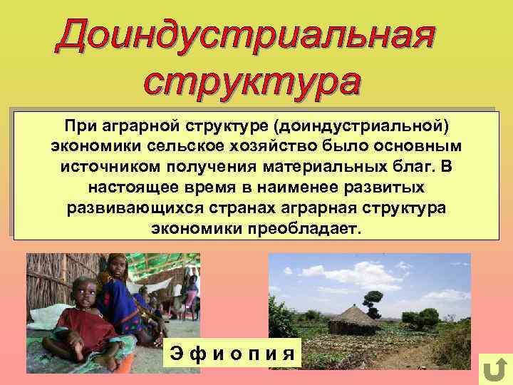 При аграрной структуре (доиндустриальной) экономики сельское хозяйство было основным источником получения материальных благ. В