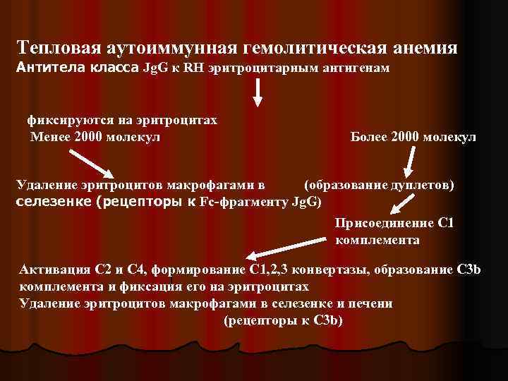 Тепловая аутоиммунная гемолитическая анемия Антитела класса Jg. G к RH эритроцитарным антигенам фиксируются на