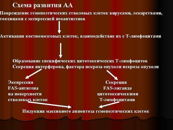 Схема развития АА Повреждение гемопоэтических стволовых клеток вирусами, лекарствами, токсинами с экспрессией неоантигенов Активация