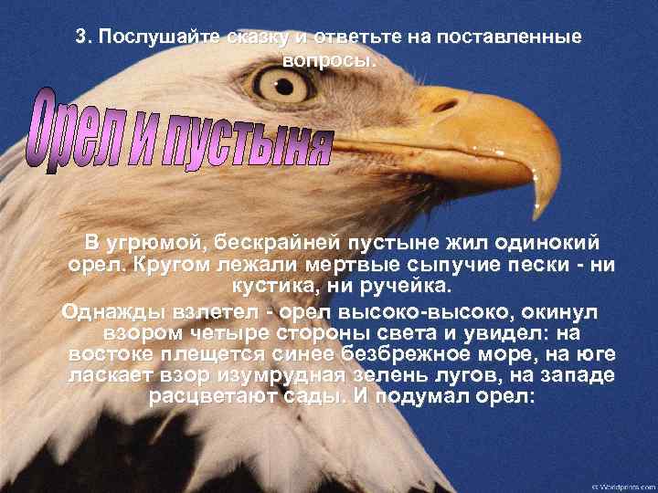 3. Послушайте сказку и ответьте на поставленные вопросы. В угрюмой, бескрайней пустыне жил одинокий