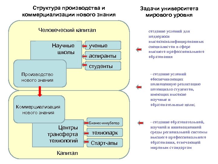 Структура производства и коммерциализации нового знания Человеческий капитал Научные школы ученые аспиранты Задачи университета