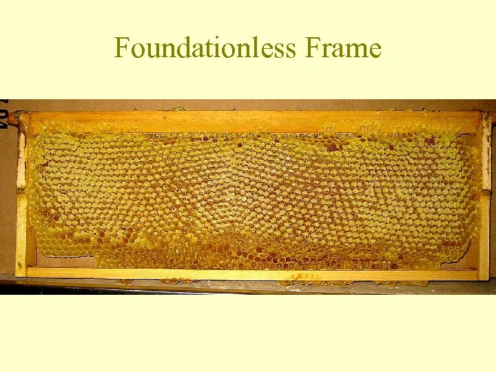 Foundationless Frame 