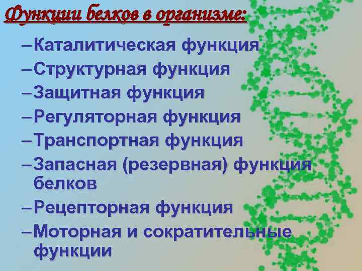 Функции белков в организме: – Каталитическая функция – Структурная функция – Защитная функция –