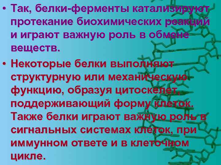  • Так, белки-ферменты катализируют протекание биохимических реакций и играют важную роль в обмене