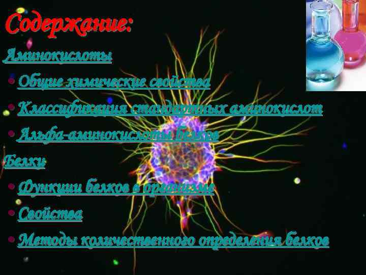 Содержание: Аминокислоты • Общие химические свойства • Классификация стандартных аминокислот • Альфа-аминокислоты белков Белки
