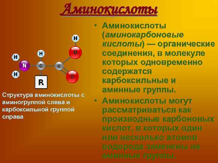 Аминокислоты Структура аминокислоты с аминогруппой слева и карбоксильной группой справа • Аминокислоты (аминокарбоновые кислоты)