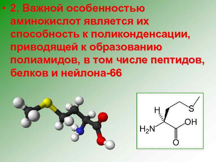  • 2. Важной особенностью аминокислот является их способность к поликонденсации, приводящей к образованию