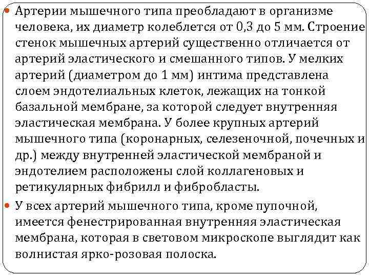  Артерии мышечного типа преобладают в организме человека, их диаметр колеблется от 0, 3