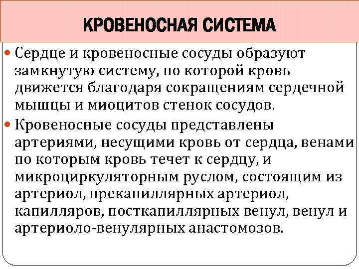 КРОВЕНОСНАЯ СИСТЕМА Сердце и кровеносные сосуды образуют замкнутую систему, по которой кровь движется благодаря