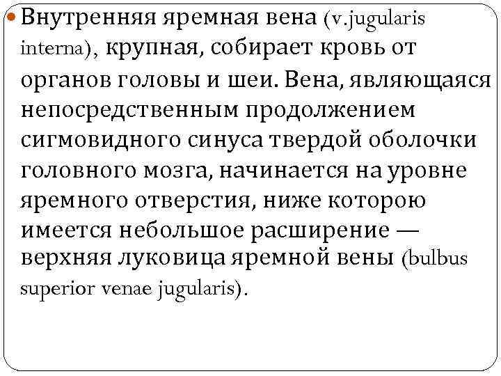  Внутренняя яремная вена (v. jugularis interna), крупная, собирает кровь от органов головы и