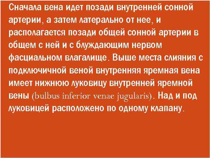  Сначала вена идет позади внутренней сонной артерии, а затем латерально от нее, и