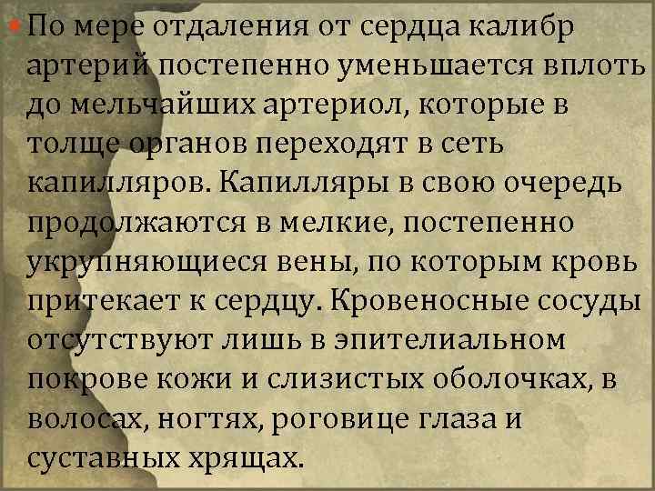  По мере отдаления от сердца калибр артерий постепенно уменьшается вплоть до мельчайших артериол,